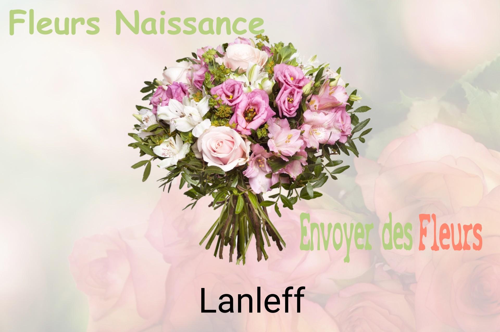 Bouquet de fleurs de naissance livré à Lanleff
